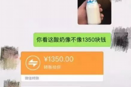 玉树企业清欠服务